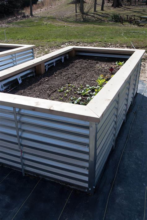 sheet metal raised beds|galvanized steel raised beds.